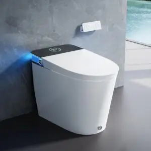 Image 1 of HOROW T38P review