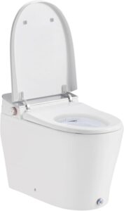 Image 1 of OVE Decors Clarke bidet toilet review