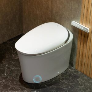 Image 1 of CANEST TC-500PRO smart toilet review
